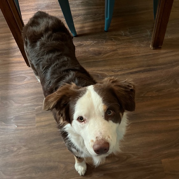 Guess what?!?! We are live live!!! - Picture 8 of 16